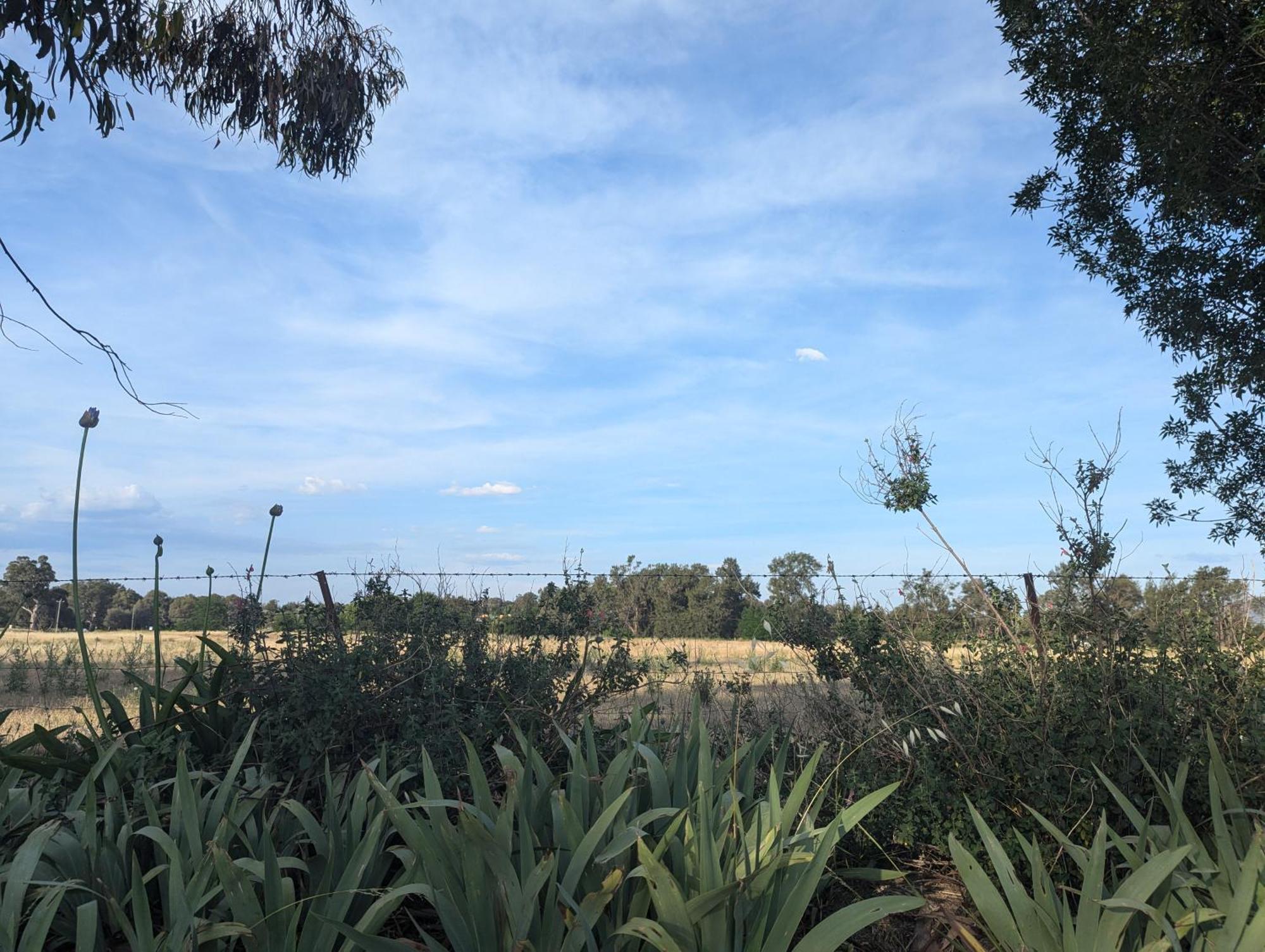 Cudgegong Valley Motel Mudgee Luaran gambar