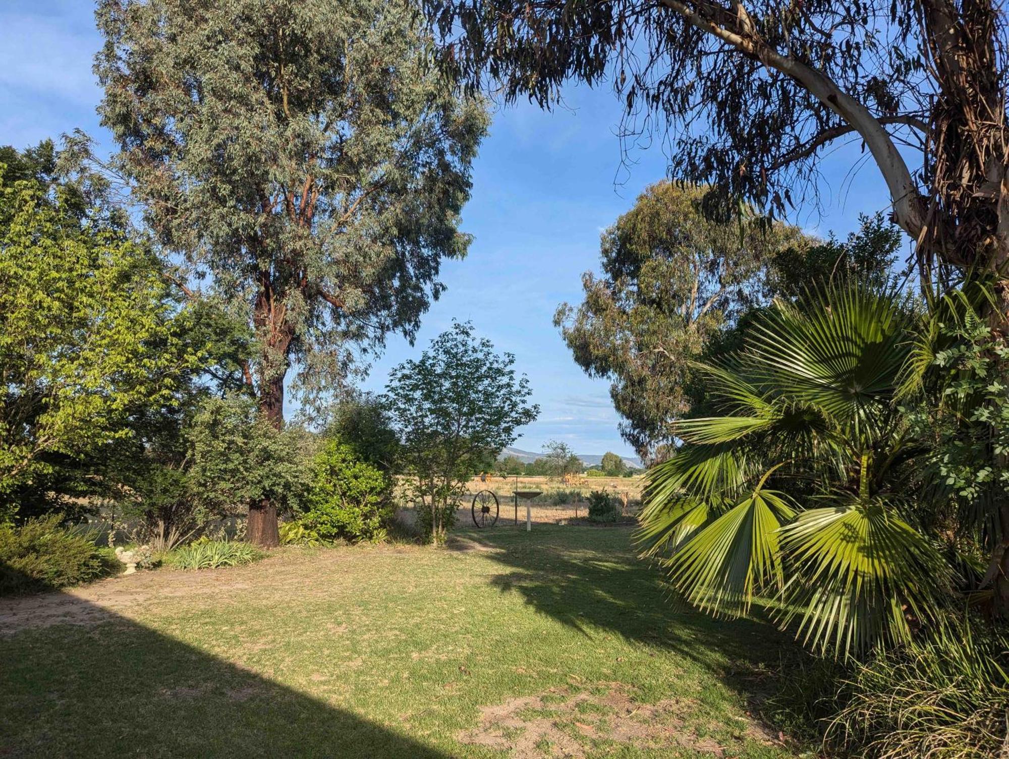 Cudgegong Valley Motel Mudgee Luaran gambar